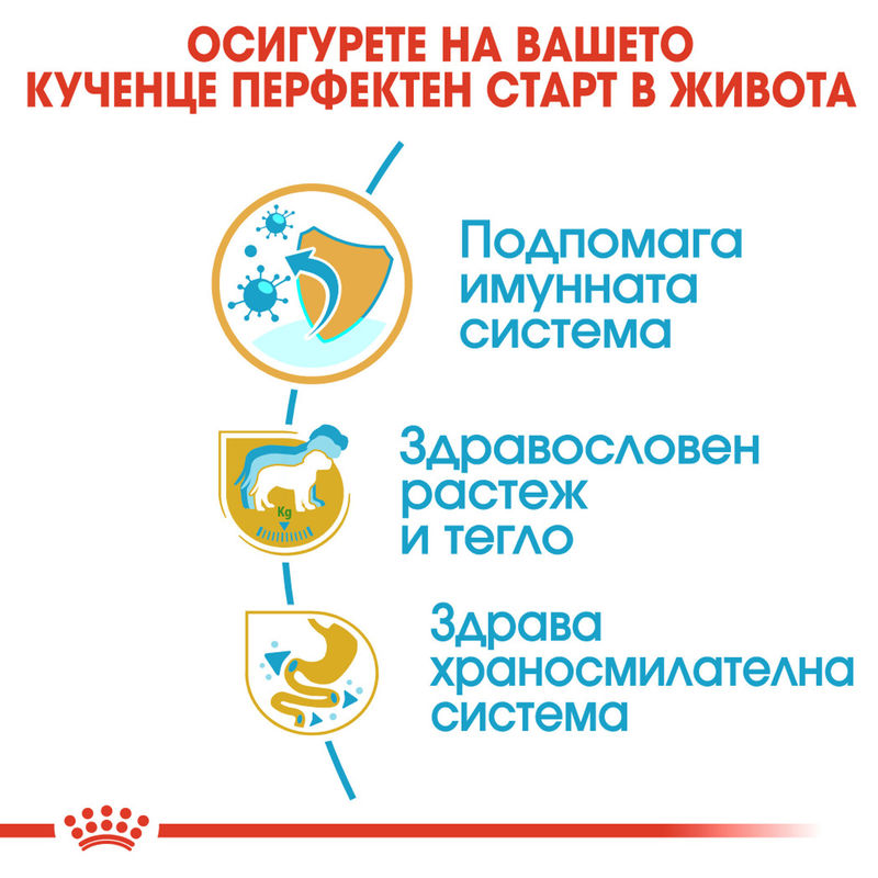 ROYAL CANIN® Labrador Puppy – Храна за кученца порода Лабрадор Ретривър 4