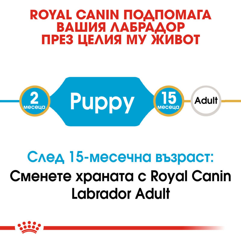 ROYAL CANIN® Labrador Puppy – Храна за кученца порода Лабрадор Ретривър 2