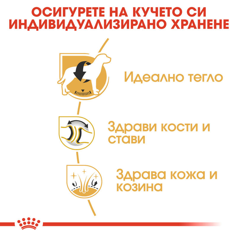 ROYAL CANIN® Labrador Retriever Adult – Храна за възрастни кучета порода Лабрадор Ретривър 3