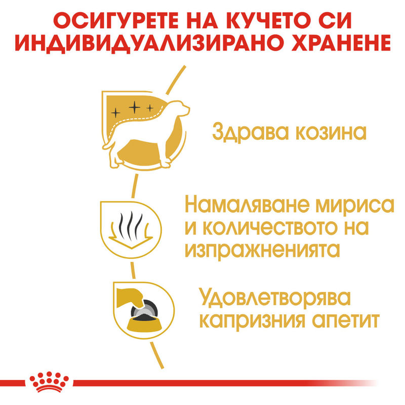 ROYAL CANIN® Maltese Adult – Храна за възрастни кучета порода малтийска болонка 5