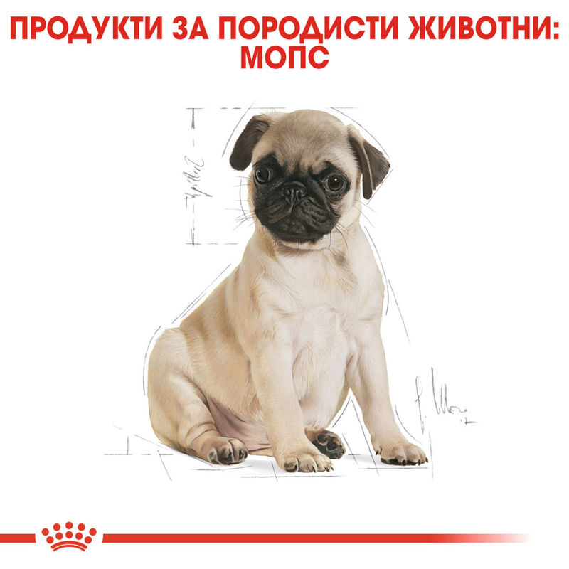 ROYAL CANIN® Pug Puppy - Храна за кученца порода Мопс 4