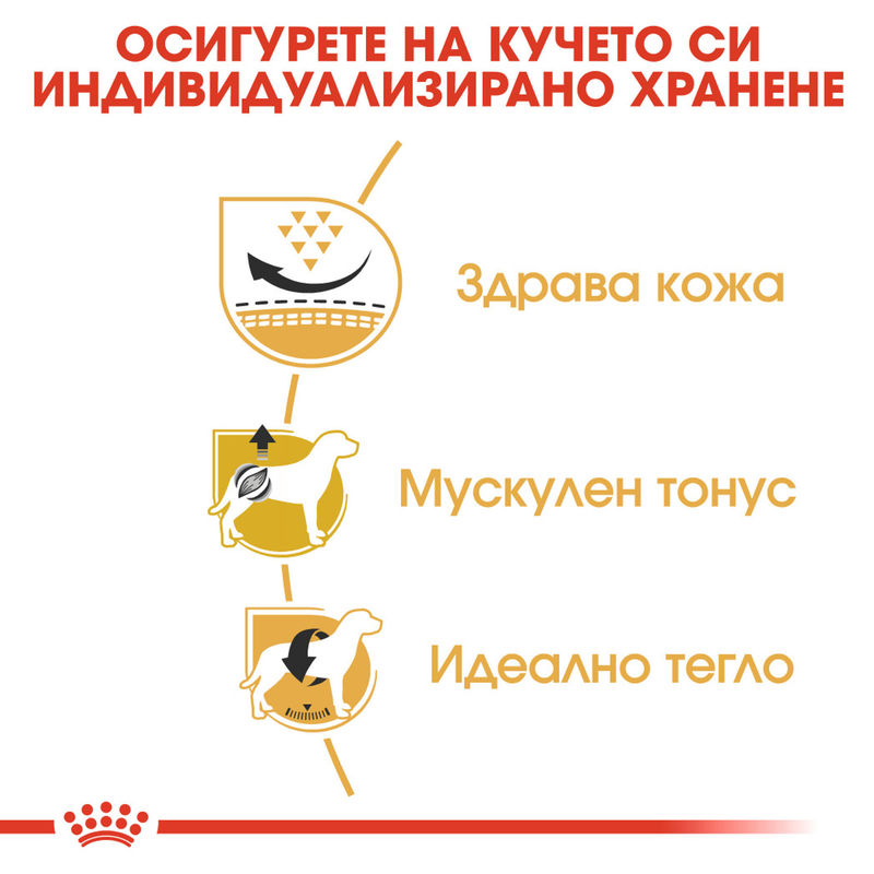 ROYAL CANIN® Pug Adult - Храна за възрастни кучета порода Пъг 6