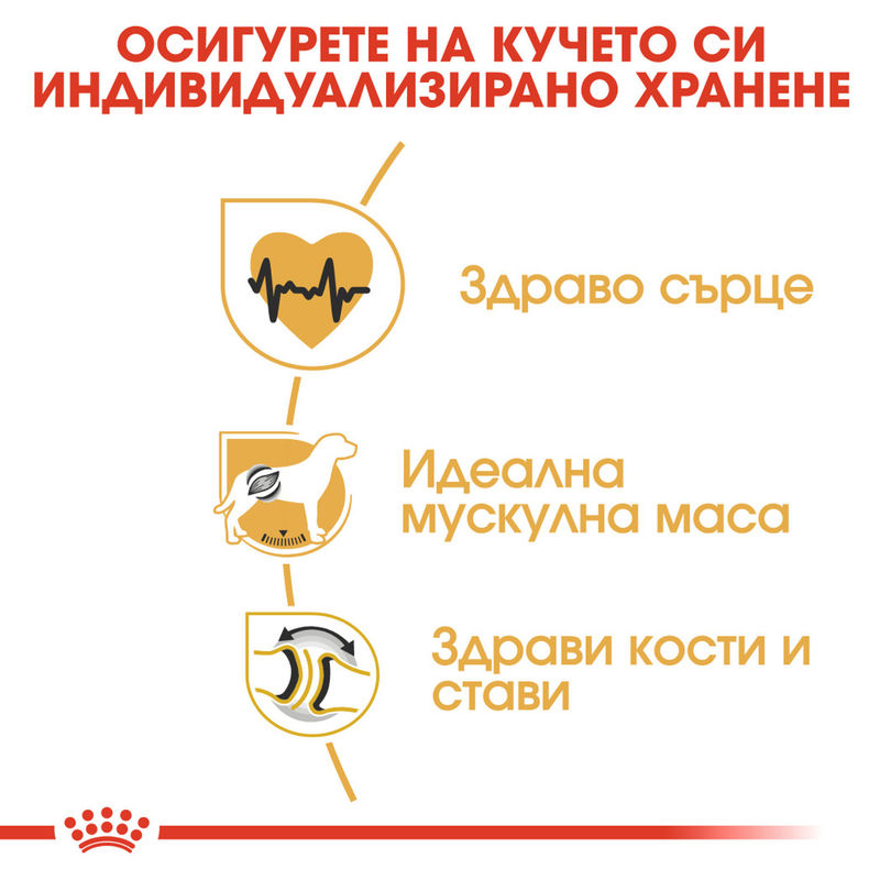 ROYAL CANIN® Rottweiler Adult - Храна за възрастни кучета порода Ротвайлер 6