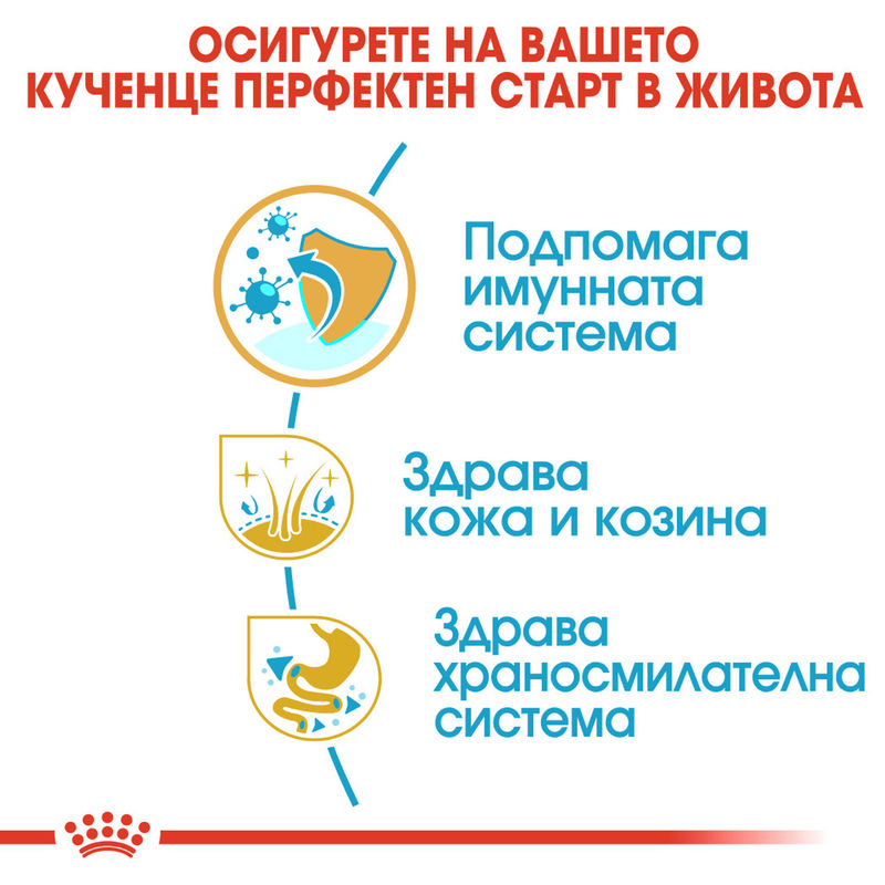 ROYAL CANIN® Shih Tzu Puppy - Храна за кученца порода Ши Тцу 4