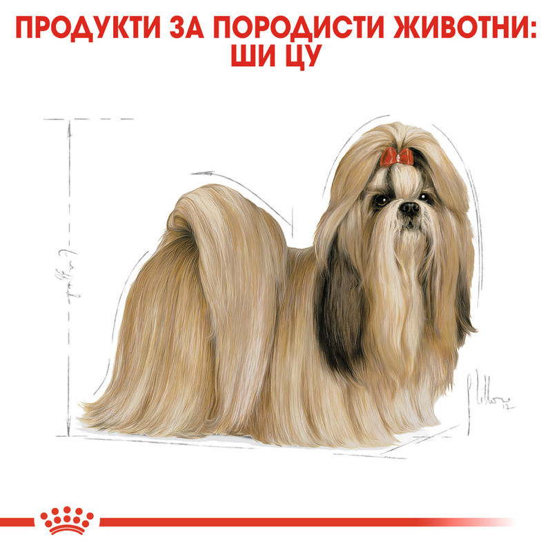 ROYAL CANIN® Shih Tzu Adult - Храна за възрастни кучета порода Ши Тцу 2