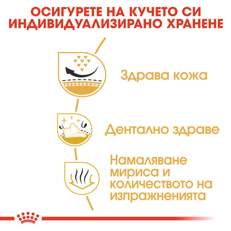 ROYAL CANIN® Shih Tzu Adult - Храна за възрастни кучета порода Ши Тцу 5