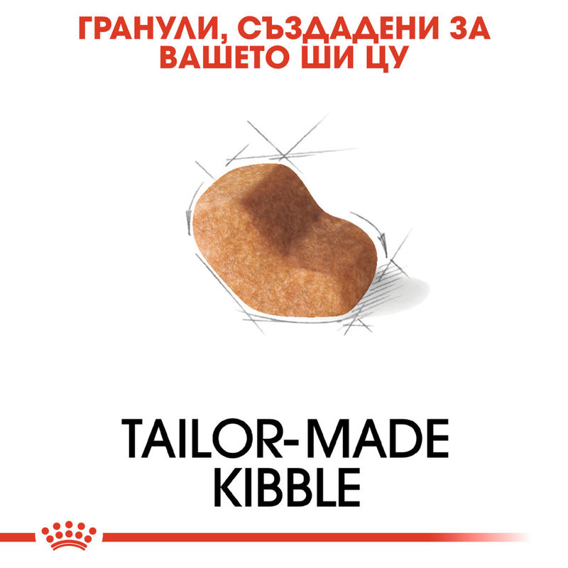 ROYAL CANIN® Shih Tzu Adult - Храна за възрастни кучета порода Ши Тцу 4