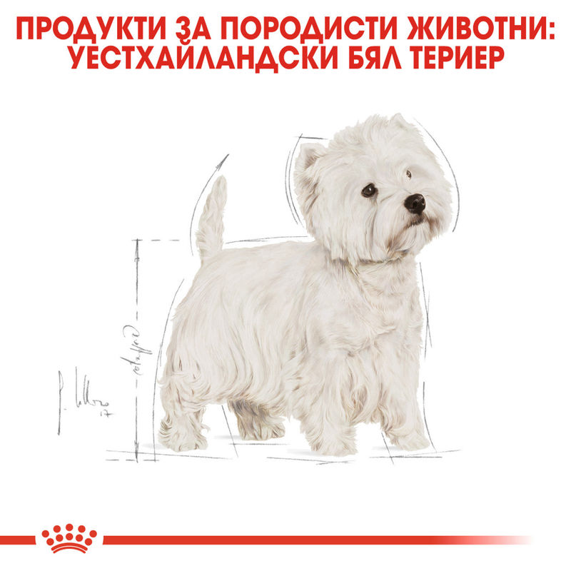 ROYAL CANIN® West Highland White Terrier Adult - Храна за възрастни кучета порода Уест Хайленд Уайт Териер 2