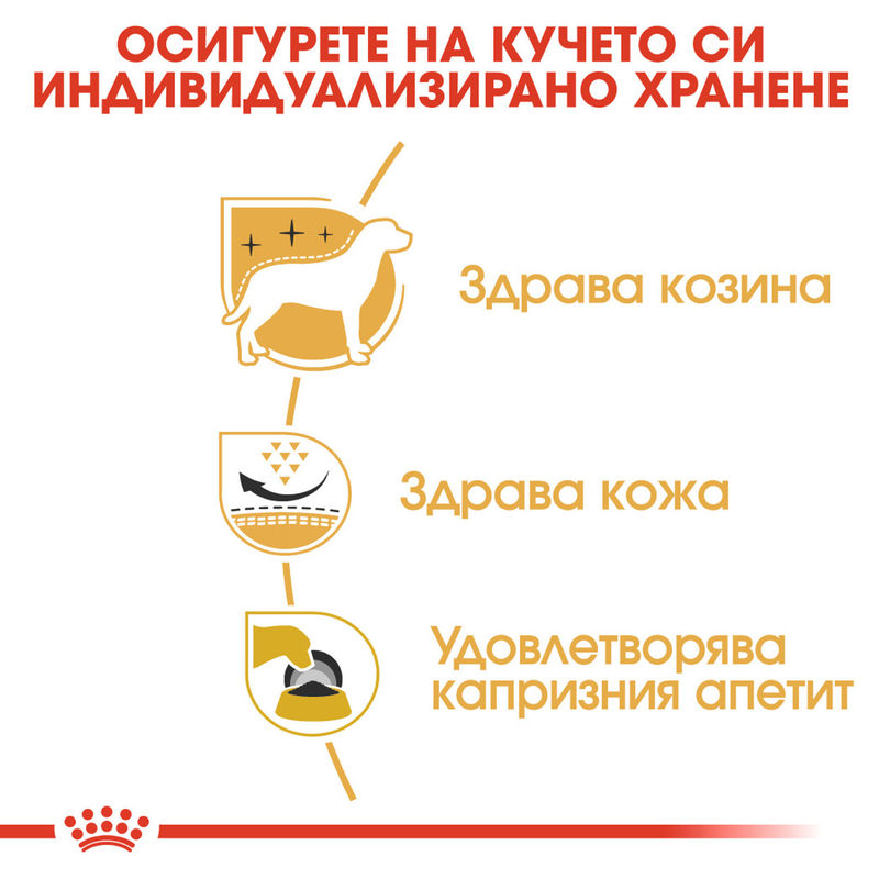 ROYAL CANIN® West Highland White Terrier Adult - Храна за възрастни кучета порода Уест Хайленд Уайт Териер 3