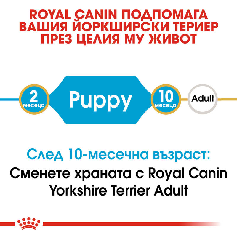 ROYAL CANIN® Yorkshire Terrier Puppy - Храна за кученца порода Йоркшир Териер 4