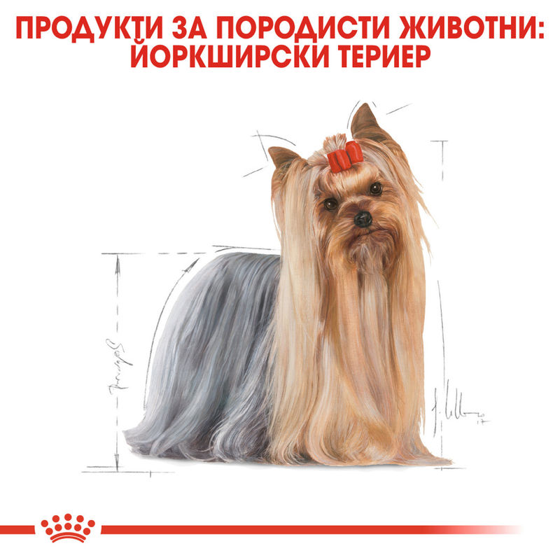 ROYAL CANIN® Yorkshire Terrier Adult - Храна за възрастни кучета порода Йоркшир Териер 4