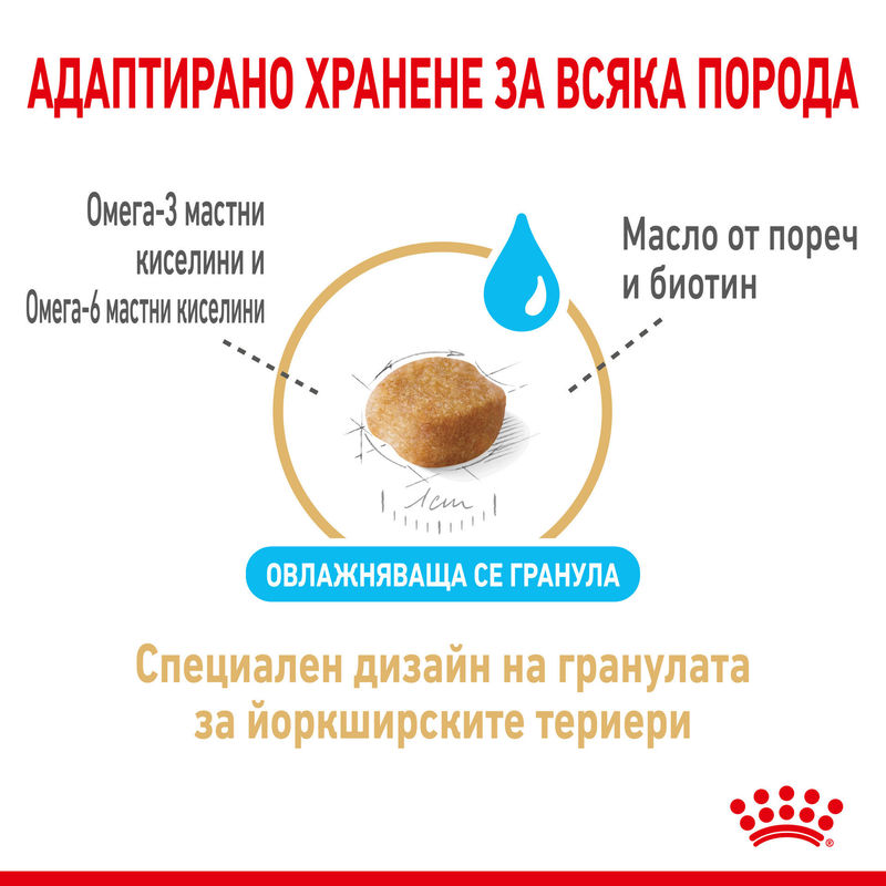 ROYAL CANIN® Yorkshire Terrier 8+ - Храна за възрастни кучета порода Йоркшир Териер над 8 години 6