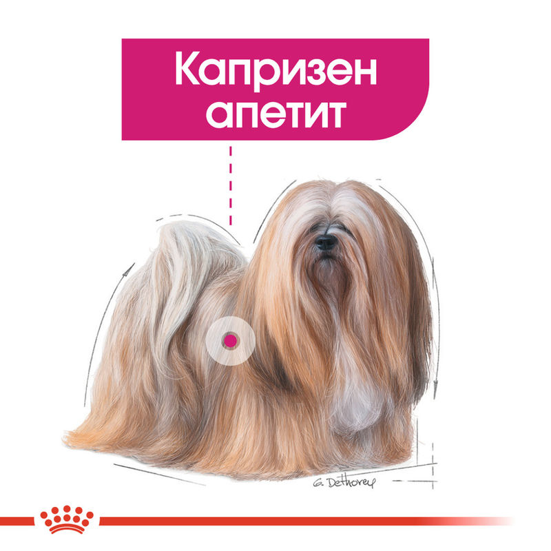 ROYAL CANIN® Mini Exigent - Храна за капризни кучета от малки породи 2