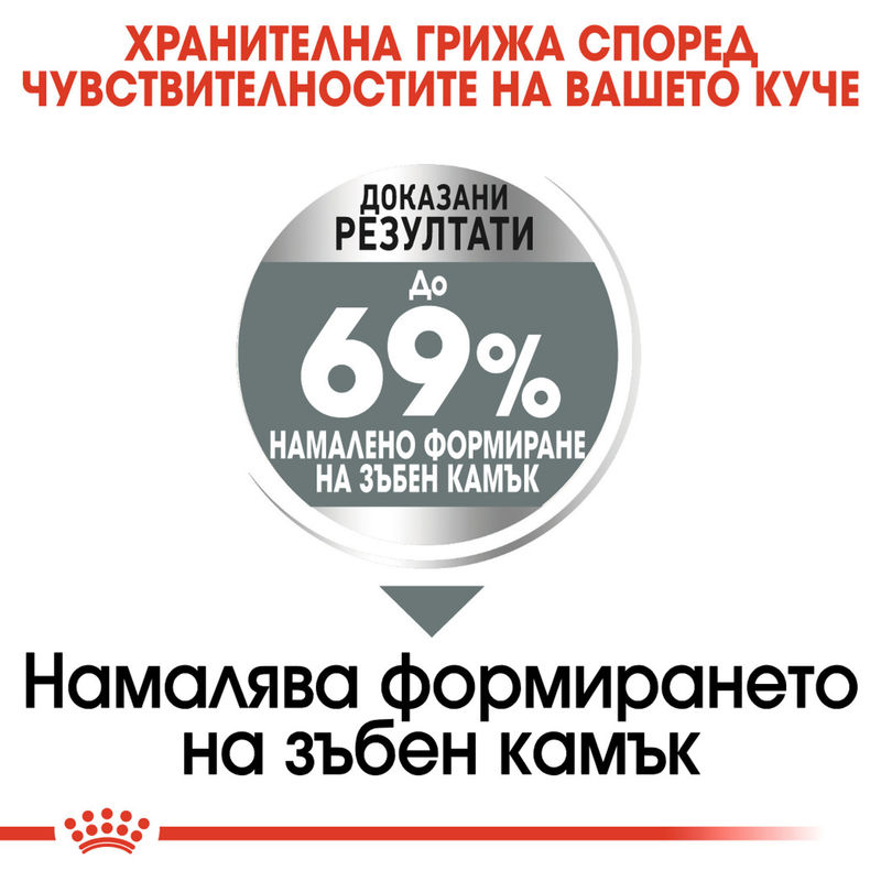 ROYAL CANIN® Mini Dental - Храна за малки породи с грижа за зъбите 6