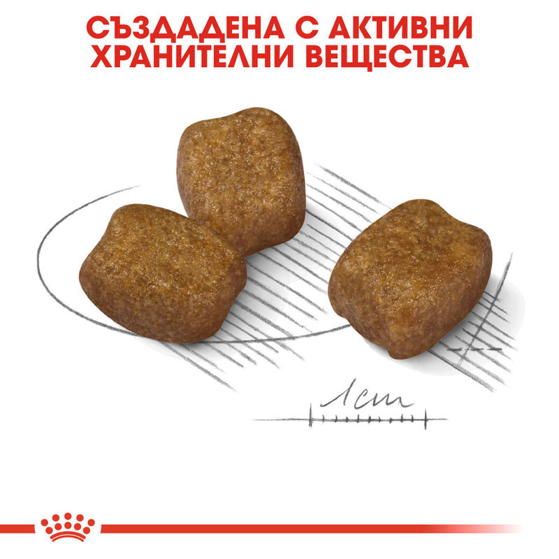 ROYAL CANIN® Mini Dental - Храна за малки породи с грижа за зъбите 3