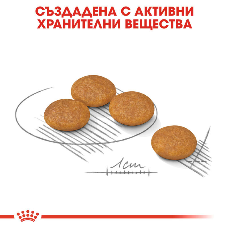 ROYAL CANIN® Mini Dermacomfort Care - Храна за малки породи с грижа за кожата 4