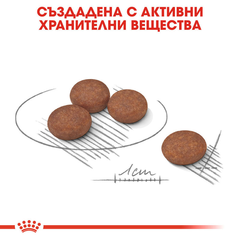ROYAL CANIN® Mini Digestive Care - Храна за малки породи с грижа за храносмилането 5