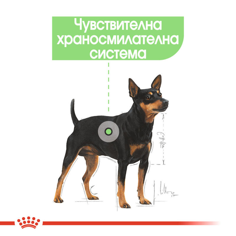 ROYAL CANIN® Mini Digestive Care - Храна за малки породи с грижа за храносмилането 2
