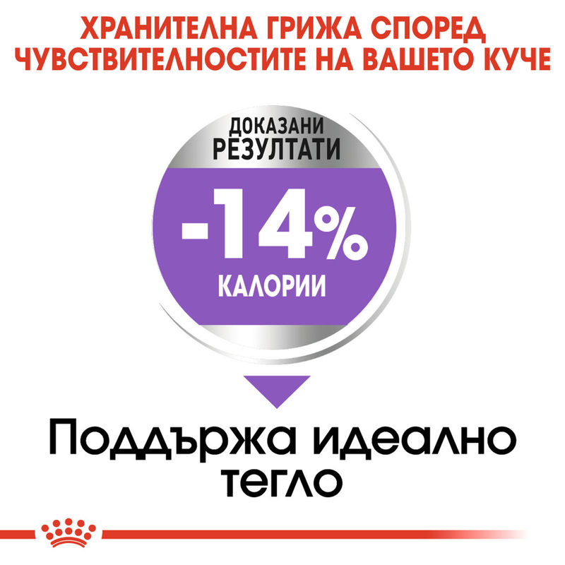 ROYAL CANIN® Mini Sterilised - Храна за кастрирани малки породи 4