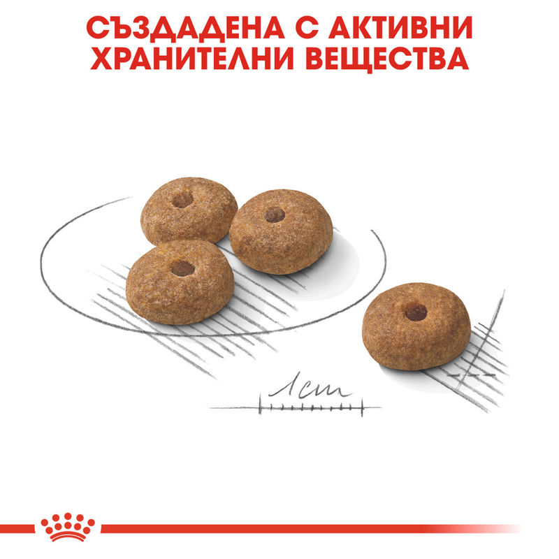 ROYAL CANIN® Mini Sterilised - Храна за кастрирани малки породи 3