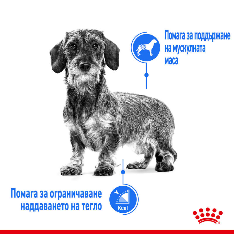 ROYAL CANIN® Mini Light Weight Care - Храна за малки породи с контрол на теглото 6