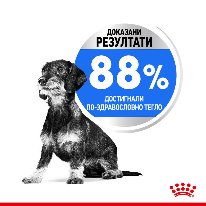 ROYAL CANIN® Mini Light Weight Care - Храна за малки породи с контрол на теглото 2