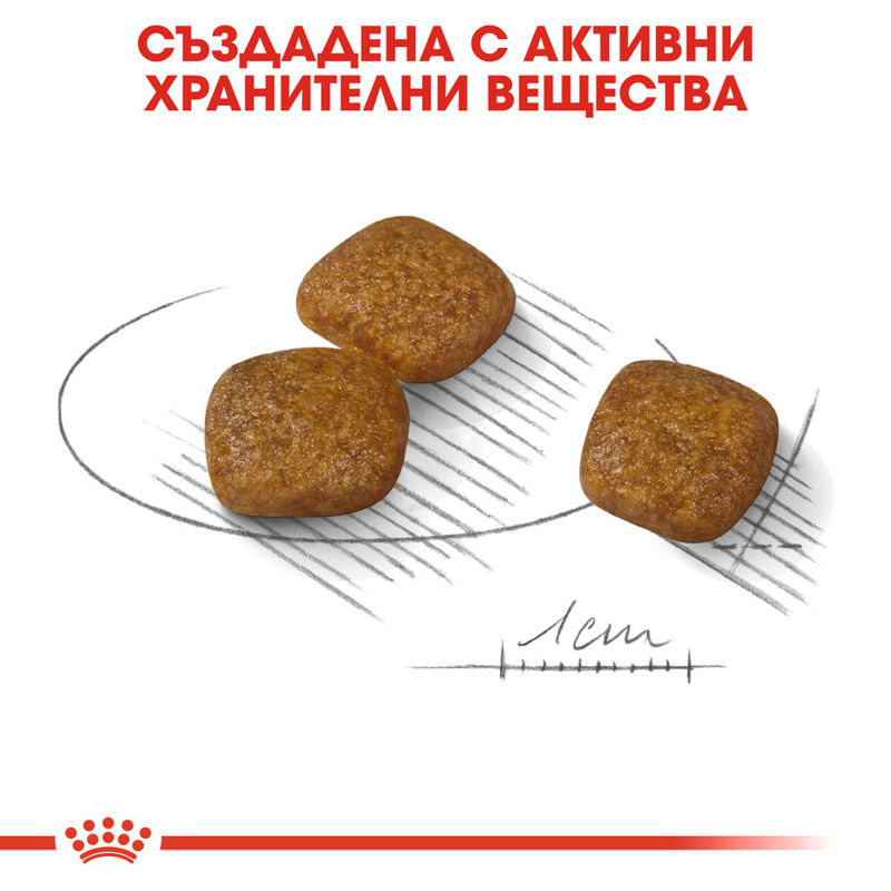 ROYAL CANIN® Mini Urinary - Специализирана храна за малки породи с проблеми в уринарния тракт 4