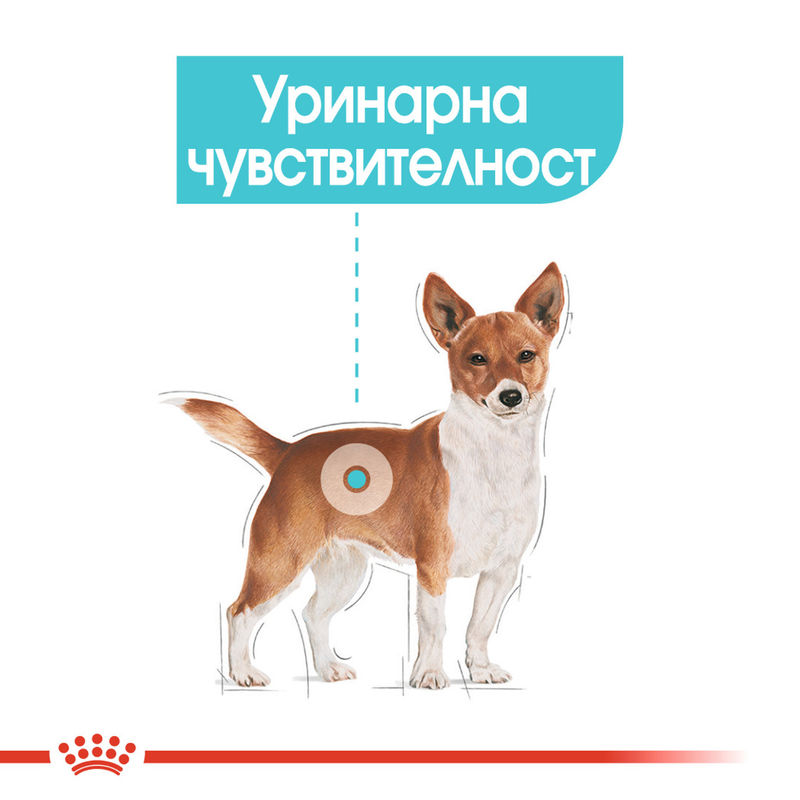 ROYAL CANIN® Mini Urinary - Специализирана храна за малки породи с проблеми в уринарния тракт 3