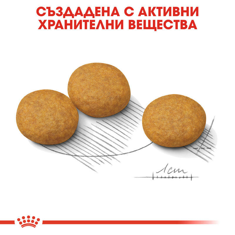 ROYAL CANIN® Medium Dermacomfort - Храна за средни породи с чувствителна кожа 6