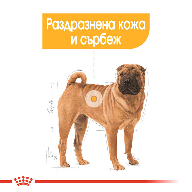 ROYAL CANIN® Medium Dermacomfort - Храна за средни породи с чувствителна кожа 3