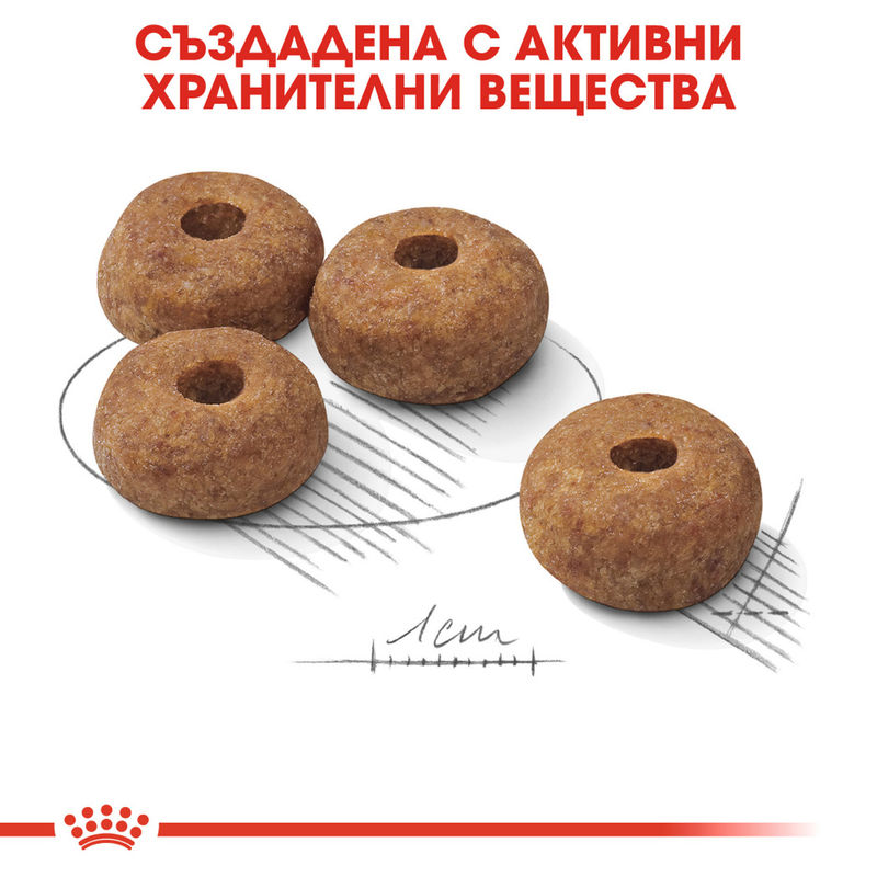 ROYAL CANIN® Medium Sterilised - Храна за кастрирани кучета от средни породи 4