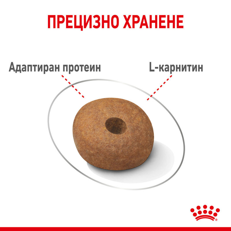 ROYAL CANIN® Medium Light Weight Care - Храна за кучета от средни породи с намалено тегло 2