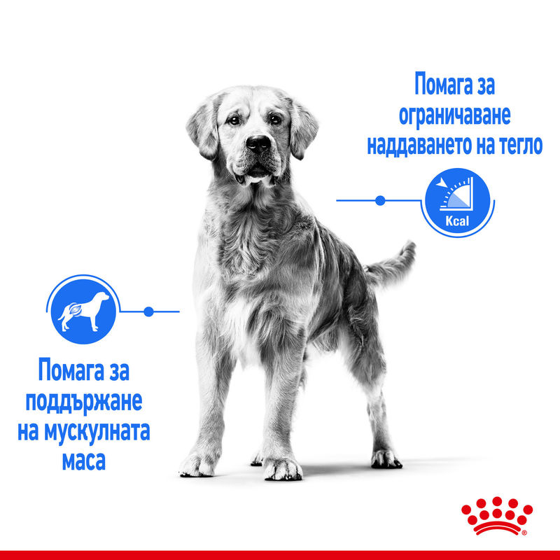 ROYAL CANIN® Maxi Light Weight Care - Храна за поддържане на идеално тегло при големи породи кучета 5