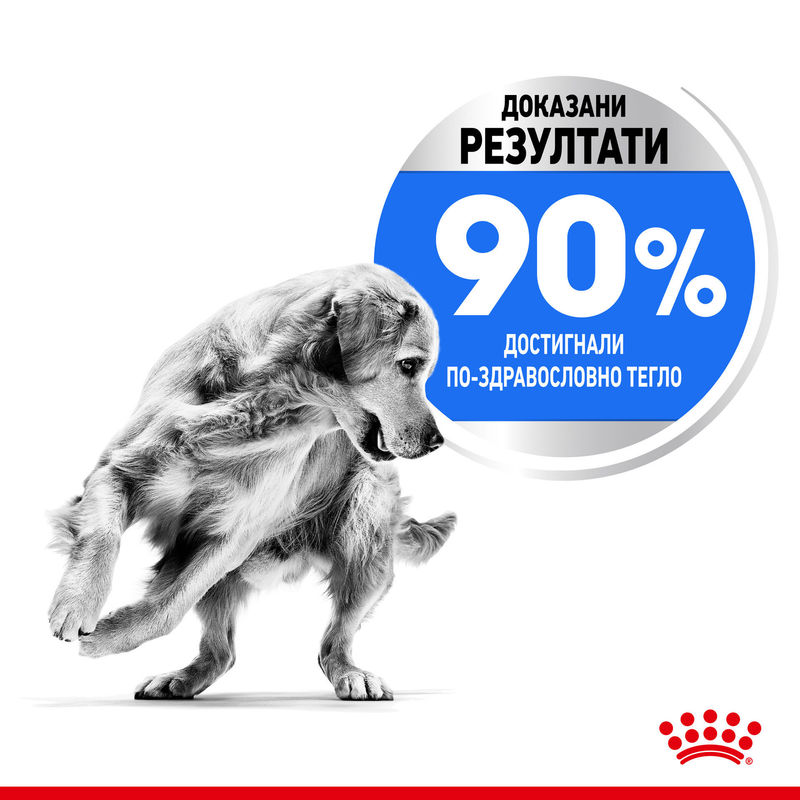 ROYAL CANIN® Maxi Light Weight Care - Храна за поддържане на идеално тегло при големи породи кучета 6