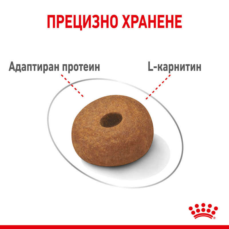 ROYAL CANIN® Maxi Light Weight Care - Храна за поддържане на идеално тегло при големи породи кучета 2