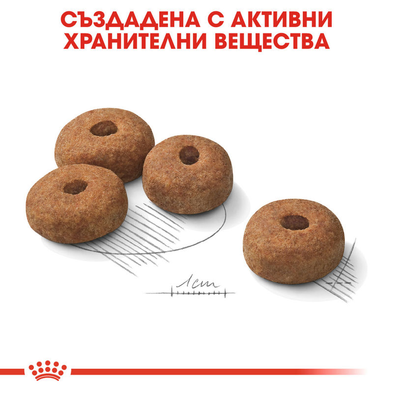ROYAL CANIN® Maxi Sterilised - Храна за кастрирани големи породи кучета 5