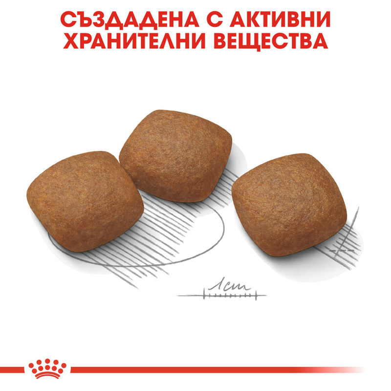 ROYAL CANIN® Maxi Joint Care - Храна за големи породи кучета със ставни проблеми 6