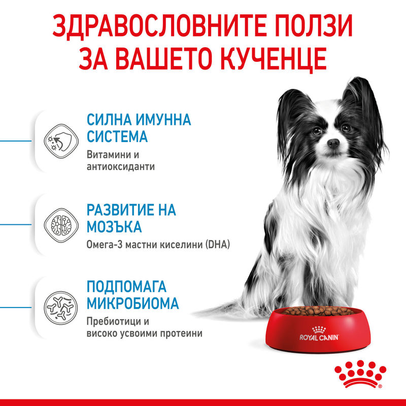 ROYAL CANIN® X-Small Puppy - Храна за кученца от миниатюрни породи 7