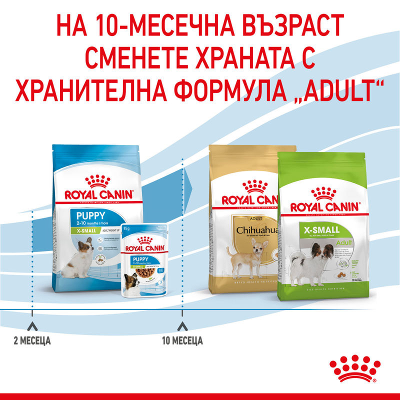 ROYAL CANIN® X-Small Puppy - Храна за кученца от миниатюрни породи 6