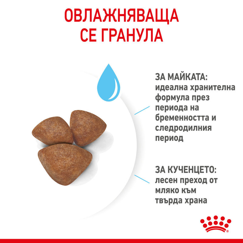 ROYAL CANIN® Mini Starter Mother & Babydog - Храна за бременни и кърмещи майки и кученца от малки породи 2