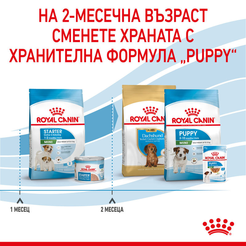 ROYAL CANIN® Mini Starter Mother & Babydog - Храна за бременни и кърмещи майки и кученца от малки породи 5