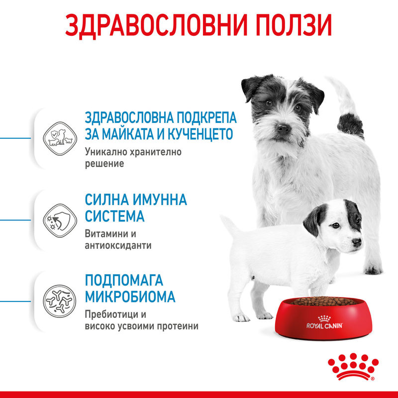 ROYAL CANIN® Mini Starter Mother & Babydog - Храна за бременни и кърмещи майки и кученца от малки породи 10