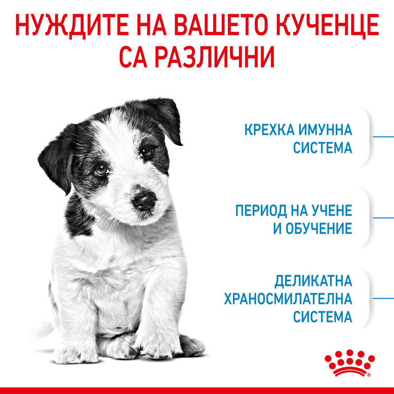 ROYAL CANIN® Mini Puppy - Храна за кученца от малки породи 9