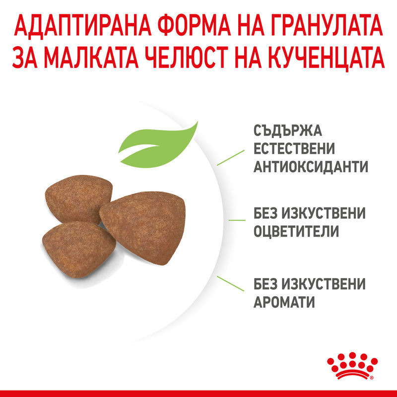 ROYAL CANIN® Mini Puppy - Храна за кученца от малки породи 10