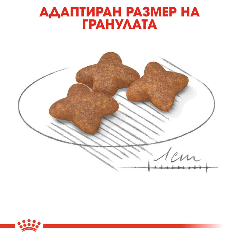 ROYAL CANIN® Mini Adult - Храна за възрастни кучета от малки породи (1-8 години) 3