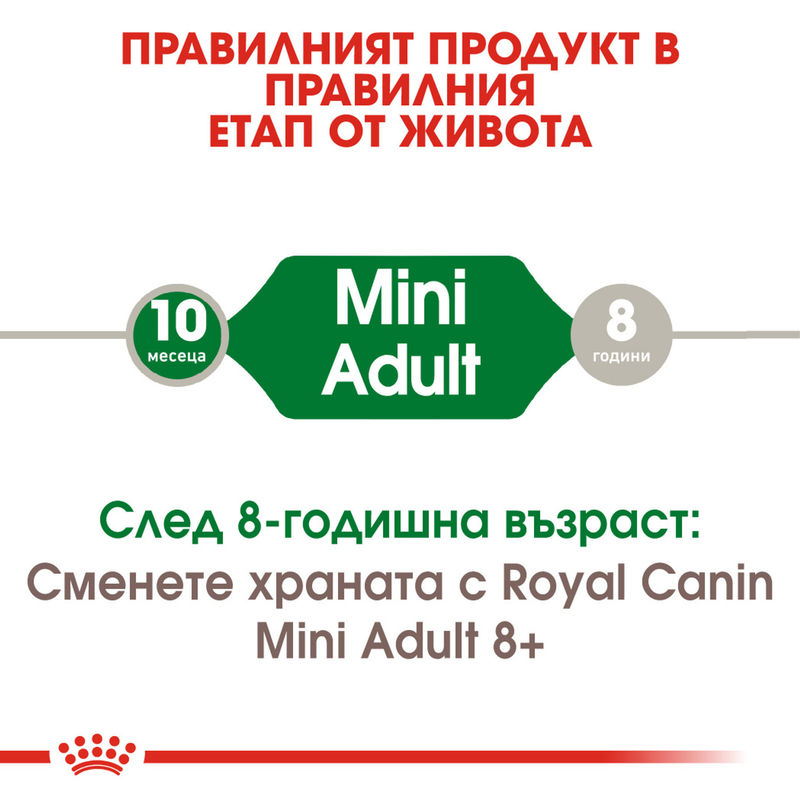 ROYAL CANIN® Mini Adult - Храна за възрастни кучета от малки породи (1-8 години) 2