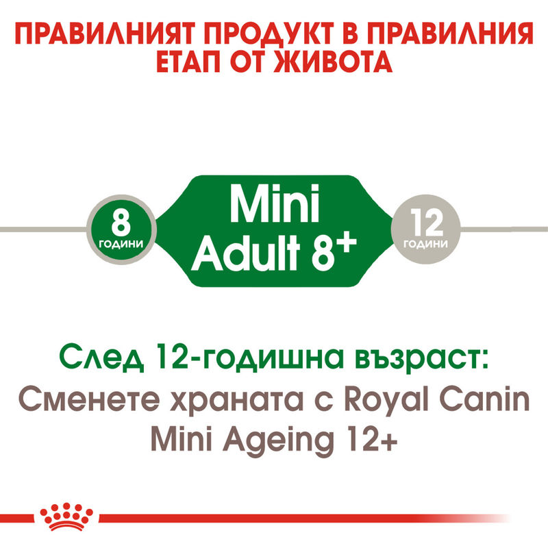 ROYAL CANIN® Mini Adult 8+ - Храна за възрастни кучета от малки породи (8+ години) 2