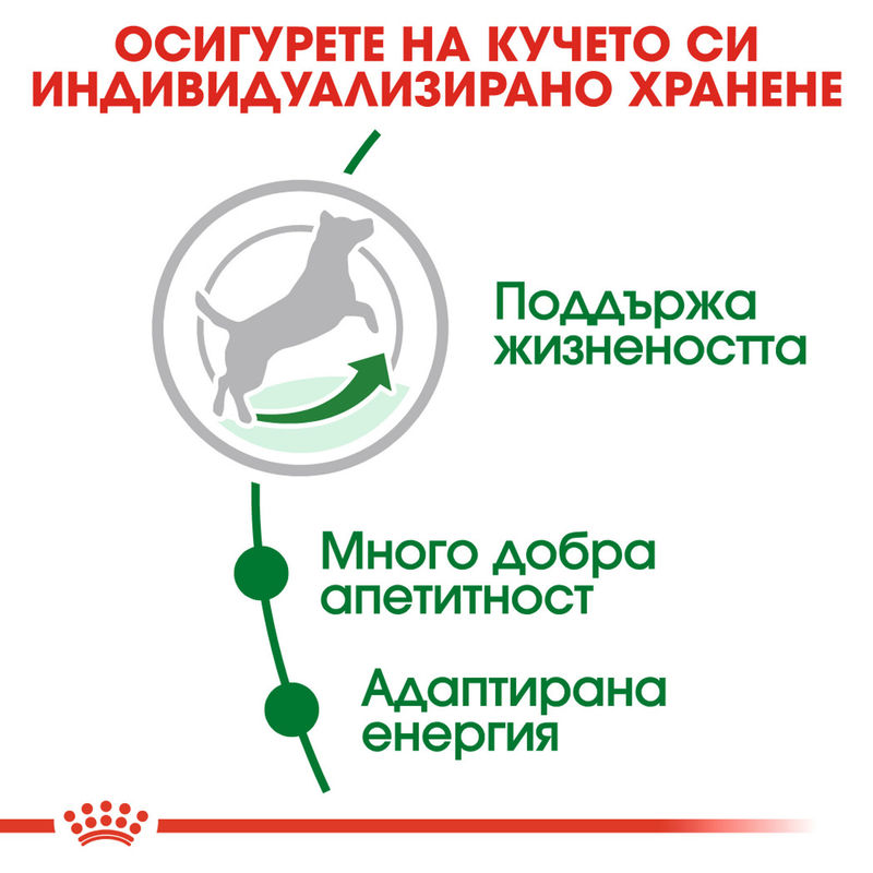 ROYAL CANIN® Mini Adult 8+ - Храна за възрастни кучета от малки породи (8+ години) 4