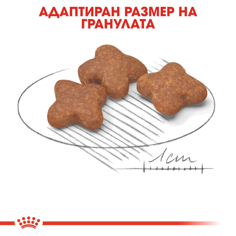 ROYAL CANIN® Mini Adult 8+ - Храна за възрастни кучета от малки породи (8+ години) 5