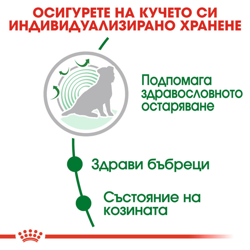 ROYAL CANIN® Mini Ageing 12+ - Храна за кучета от малки породи на възраст над 12 години 3